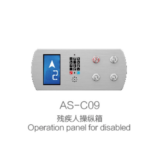 AS-C09 handicapped control box